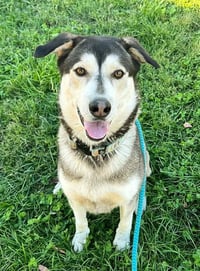 *JOAQUIN - Photo 1