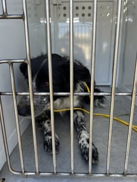 QUINCY - Photo 1