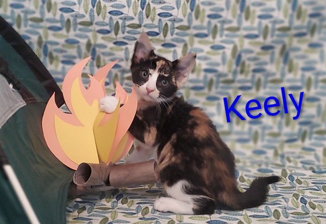KEELY Image