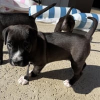 *MAX - Photo 1