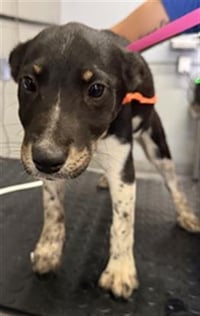 A888923 - Photo 1