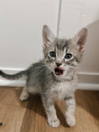 *ETHEL - Photo 1
