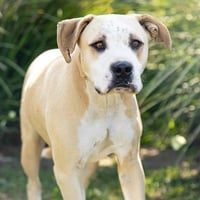SCOOCH - Photo 1
