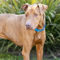 MILO - Photo 1