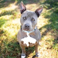 *GRAYSON - Photo 1