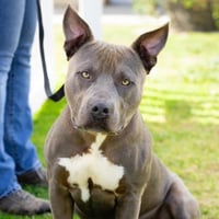 *GRAYSON - Photo 1