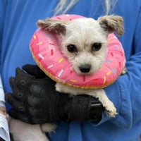 *WILLIE - Photo 1
