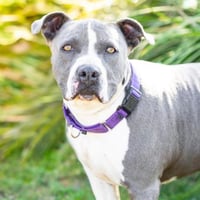 *CHANCE - Photo 1