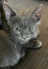 *BABY - Photo 1