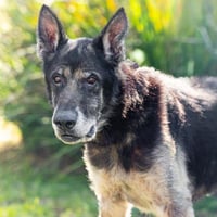 MAX - Photo 1