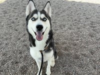LULU - Photo 1