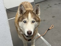 HARTLEY - Photo 1