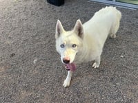 OSO - Photo 1
