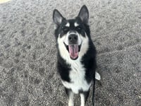 CAINE - Photo 1