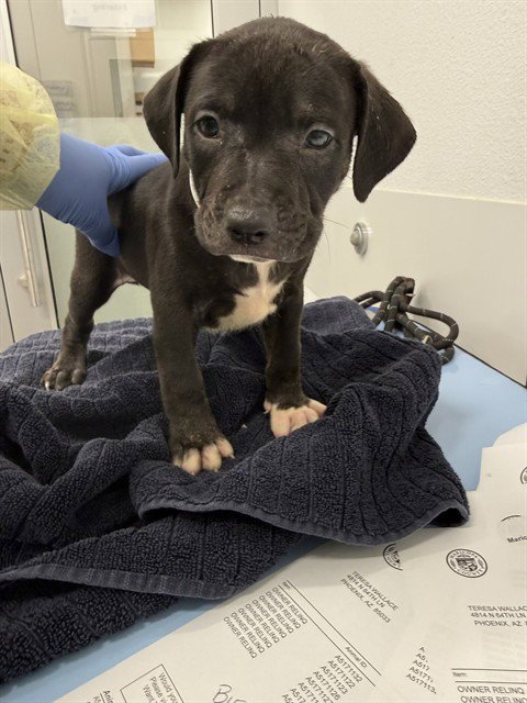 AUTUMN Image