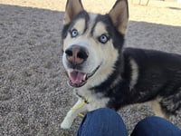 JACK - Photo 1