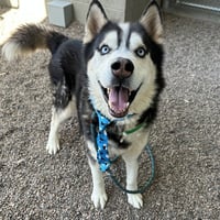 JACK - Photo 1