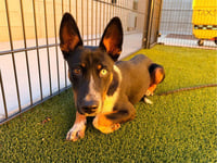 LUCA - Photo 1