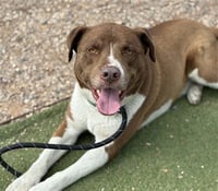 ZEUS - Photo 1