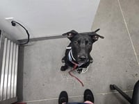LENNOX - Photo 1