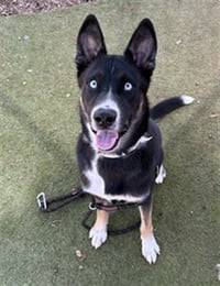 BEERUS - Photo 1