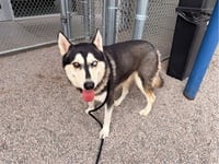 MAX - Photo 1