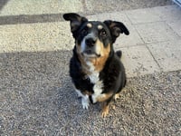 HEIDI - Photo 1