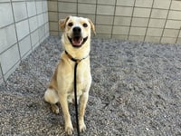 COCO - Photo 1