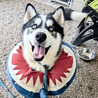 JACK - Photo 1
