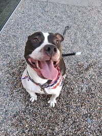 EDDIE - Photo 1