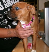 HAZEL - Photo 1