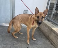 ZUMI - Photo 1