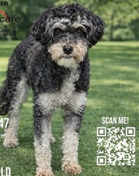 TYSON - Photo 1