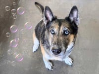 LUNA - Photo 1