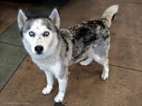 SASSIE - Photo 1