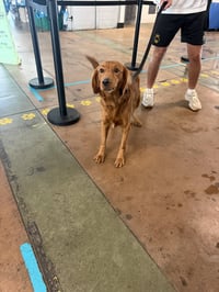 MILO - Photo 1