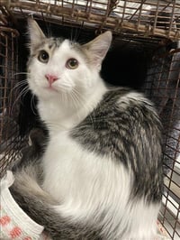 TADAKI - Photo 1
