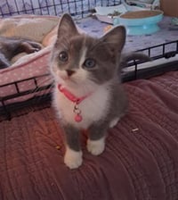 ELOISE - Photo 1