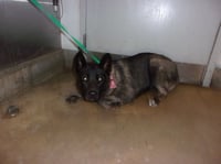 PENNY - Photo 1