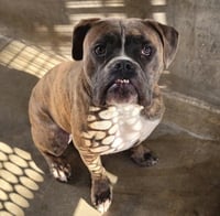 ACE - Photo 1