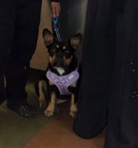 MOCHA - Photo 1