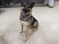 KINO - Photo 1