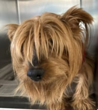 MUNECO - Photo 1