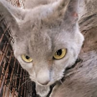 MOUSER - Photo 1