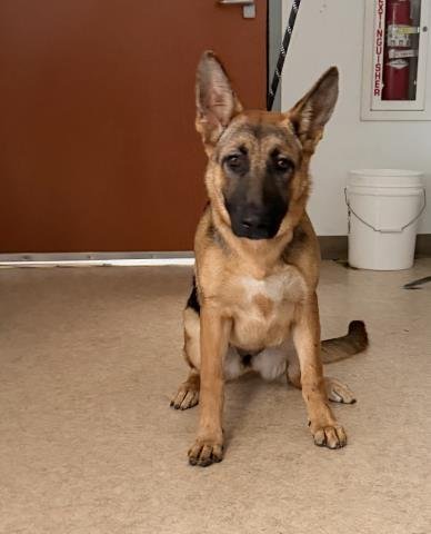LOLA Image