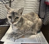 A2289130 - Photo 1