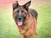 MOLLY - Photo 1