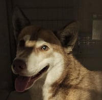 ALTA - Photo 1