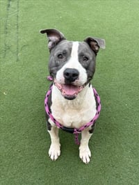 TEFERA - Photo 1