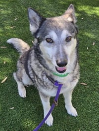 BELLA - Photo 1